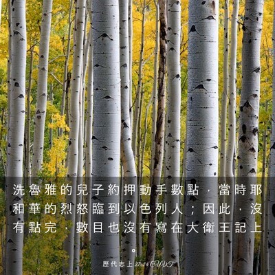 Picture 03 - 歷 代 志 上 27:24 CUVT - 洗 魯 雅 的 兒 子 約 押 動 手 數 點 - Bible Verse Picture