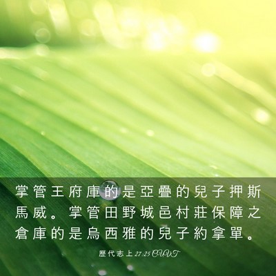 Picture 03 - 歷 代 志 上 27:25 CUVT - 掌 管 王 府 庫 的 是 亞 疊 的 兒 子 - Bible Verse Picture