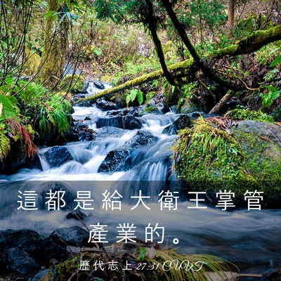 Picture 03 - 歷 代 志 上 27:31 CUVT - 這 都 是 給 大 衛 王 掌 管 產 業 的 - Bible Verse Picture