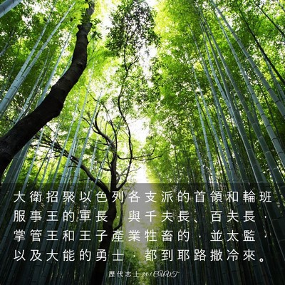 Picture 03 - 歷 代 志 上 28:1 CUVT - 大 衛 招 聚 以 色 列 各 支 派 的 首 - Bible Verse Picture
