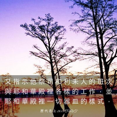 Picture 03 - 歷 代 志 上 28:13 CUVT - 又 指 示 他 祭 司 和 利 未 人 的 班 - Bible Verse Picture