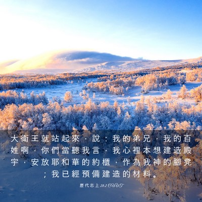 Picture 03 - 歷 代 志 上 28:2 CUVT - 大 衛 王 就 站 起 來 ， 說 ： 我 的 - Bible Verse Picture