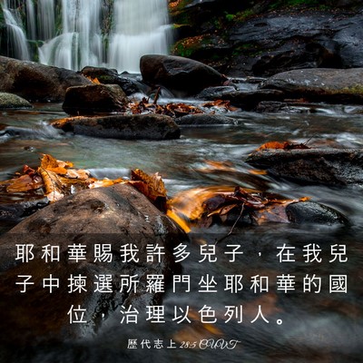 Picture 03 - 歷 代 志 上 28:5 CUVT - 耶 和 華 賜 我 許 多 兒 子 ， 在 我 - Bible Verse Picture