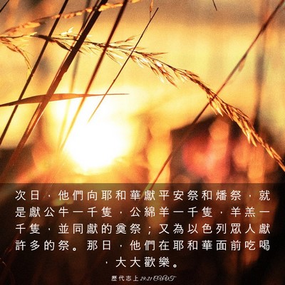 Picture 03 - 歷 代 志 上 29:21 CUVT - 次 日 ， 他 們 向 耶 和 華 獻 平 安 - Bible Verse Picture