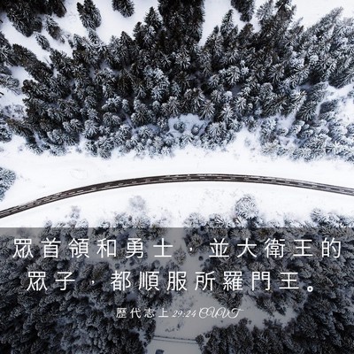 Picture 03 - 歷 代 志 上 29:24 CUVT - 眾 首 領 和 勇 士 ， 並 大 衛 王 的 - Bible Verse Picture