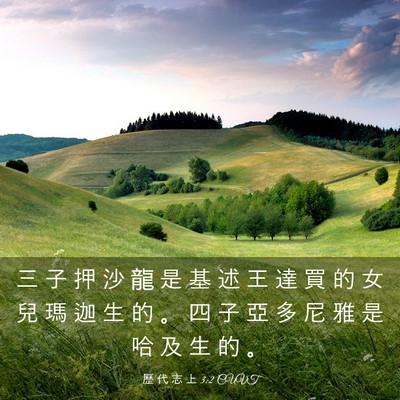 Picture 03 - 歷 代 志 上 3:2 CUVT - 三 子 押 沙 龍 是 基 述 王 達 買 的 - Bible Verse Picture