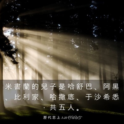 Picture 03 - 歷 代 志 上 3:20 CUVT - 米 書 蘭 的 兒 子 是 哈 舒 巴 、 阿 - Bible Verse Picture