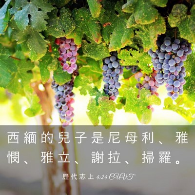 Picture 03 - 歷 代 志 上 4:24 CUVT - 西 緬 的 兒 子 是 尼 母 利 、 雅 憫 - Bible Verse Picture