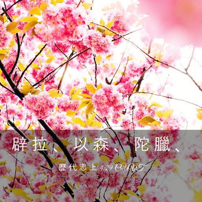 Picture 03 - 歷 代 志 上 4:29 CUVT - 辟 拉 、 以 森 、 陀 臘 - Bible Verse Picture