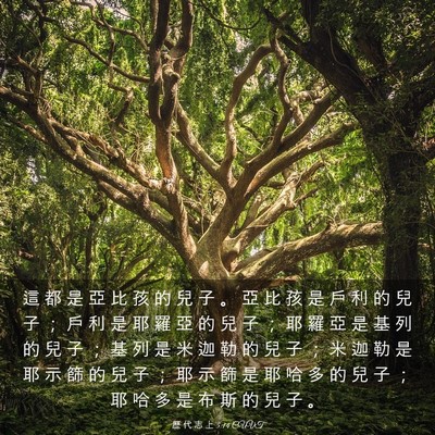 Picture 03 - 歷 代 志 上 5:14 CUVT - 這 都 是 亞 比 孩 的 兒 子 。 亞 比 - Bible Verse Picture