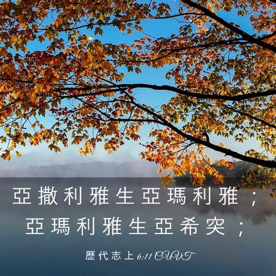 Picture 03 - 歷 代 志 上 6:11 CUVT - 亞 撒 利 雅 生 亞 瑪 利 雅 ； 亞 瑪 - Bible Verse Picture
