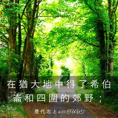 Picture 03 - 歷 代 志 上 6:55 CUVT - 在 猶 大 地 中 得 了 希 伯 崙 和 四 - Bible Verse Picture