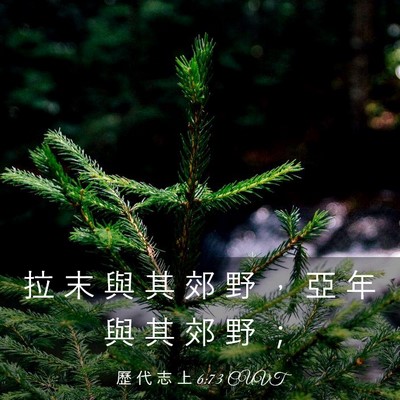 Picture 03 - 歷 代 志 上 6:73 CUVT - 拉 末 與 其 郊 野 ， 亞 年 與 其 郊 - Bible Verse Picture