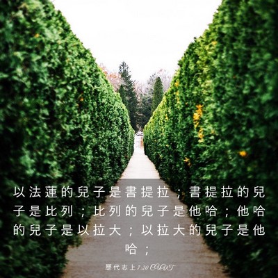 Picture 03 - 歷 代 志 上 7:20 CUVT - 以 法 蓮 的 兒 子 是 書 提 拉 ； 書 - Bible Verse Picture