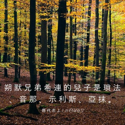 Picture 03 - 歷 代 志 上 7:35 CUVT - 朔 默 兄 弟 希 連 的 兒 子 是 瑣 法 - Bible Verse Picture