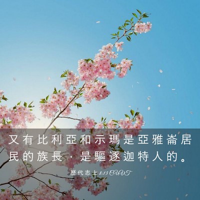 Picture 03 - 歷 代 志 上 8:13 CUVT - 又 有 比 利 亞 和 示 瑪 是 亞 雅 崙 - Bible Verse Picture