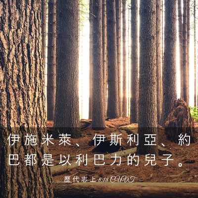 Picture 03 - 歷 代 志 上 8:18 CUVT - 伊 施 米 萊 、 伊 斯 利 亞 、 約 巴 - Bible Verse Picture