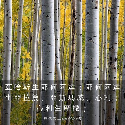 Picture 03 - 歷 代 志 上 8:36 CUVT - 亞 哈 斯 生 耶 何 阿 達 ； 耶 何 阿 - Bible Verse Picture