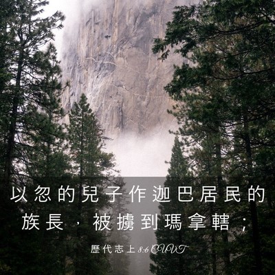 Picture 03 - 歷 代 志 上 8:6 CUVT - 以 忽 的 兒 子 作 迦 巴 居 民 的 族 - Bible Verse Picture
