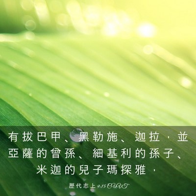 Picture 03 - 歷 代 志 上 9:15 CUVT - 有 拔 巴 甲 、 黑 勒 施 、 迦 拉 ， - Bible Verse Picture