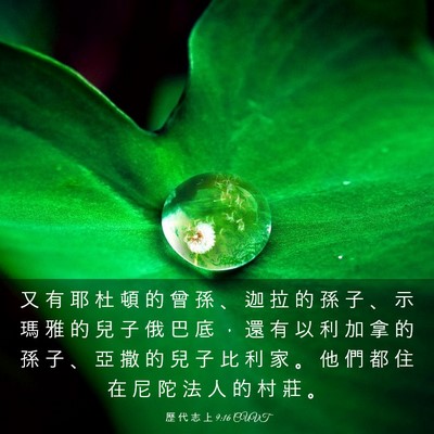 Picture 03 - 歷 代 志 上 9:16 CUVT - 又 有 耶 杜 頓 的 曾 孫 、 迦 拉 的 - Bible Verse Picture