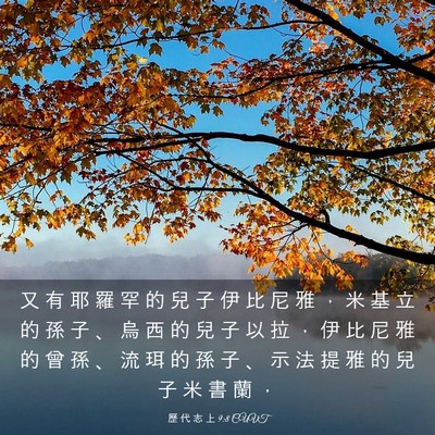 Picture 03 - 歷 代 志 上 9:8 CUVT - 又 有 耶 羅 罕 的 兒 子 伊 比 尼 雅 - Bible Verse Picture