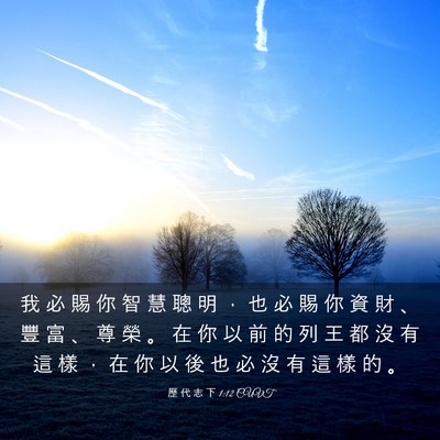 Picture 03 - 歷 代 志 下 1:12 CUVT - 我 必 賜 你 智 慧 聰 明 ， 也 必 賜 - Bible Verse Picture