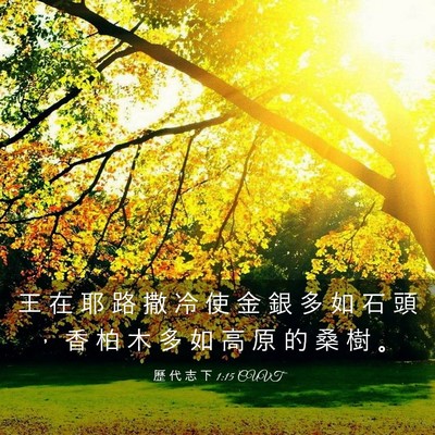 Picture 03 - 歷 代 志 下 1:15 CUVT - 王 在 耶 路 撒 冷 使 金 銀 多 如 石 - Bible Verse Picture