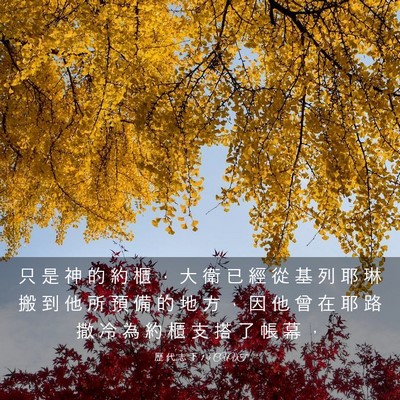 Picture 03 - 歷 代 志 下 1:4 CUVT - 只 是 神 的 約 櫃 ， 大 衛 已 經 從 - Bible Verse Picture