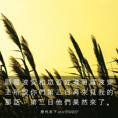 Picture 03 - 歷 代 志 下 10:12 CUVT - 耶 羅 波 安 和 眾 百 姓 遵 著 羅 波 - Bible Verse Picture