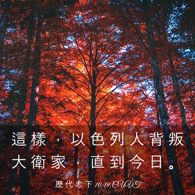 Picture 03 - 歷 代 志 下 10:19 CUVT - 這 樣 ， 以 色 列 人 背 叛 大 衛 家 - Bible Verse Picture