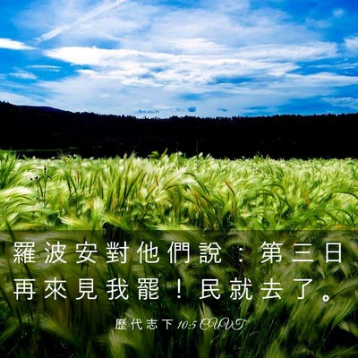 Picture 03 - 歷 代 志 下 10:5 CUVT - 羅 波 安 對 他 們 說 ： 第 三 日 再 - Bible Verse Picture
