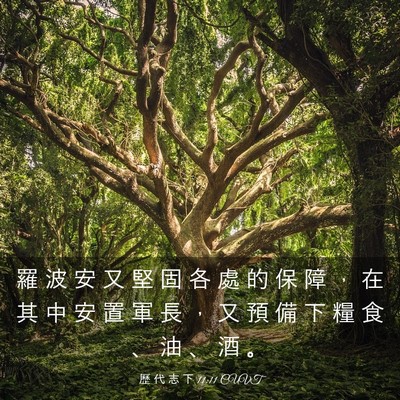 Picture 03 - 歷 代 志 下 11:11 CUVT - 羅 波 安 又 堅 固 各 處 的 保 障 ， - Bible Verse Picture