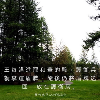 Picture 03 - 歷 代 志 下 12:11 CUVT - 王 每 逢 進 耶 和 華 的 殿 ， 護 衛 - Bible Verse Picture