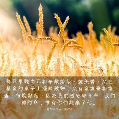 Picture 03 - 歷 代 志 下 13:11 CUVT - 每 日 早 晚 向 耶 和 華 獻 燔 祭 ， - Bible Verse Picture