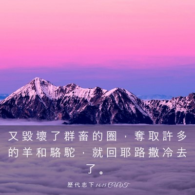 Picture 03 - 歷 代 志 下 14:15 CUVT - 又 毀 壞 了 群 畜 的 圈 ， 奪 取 許 - Bible Verse Picture
