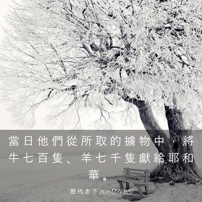 Picture 03 - 歷 代 志 下 15:11 CUVT - 當 日 他 們 從 所 取 的 擄 物 中 ， - Bible Verse Picture