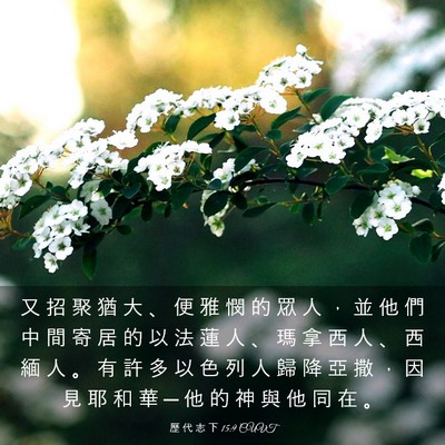 Picture 03 - 歷 代 志 下 15:9 CUVT - 又 招 聚 猶 大 、 便 雅 憫 的 眾 人 - Bible Verse Picture