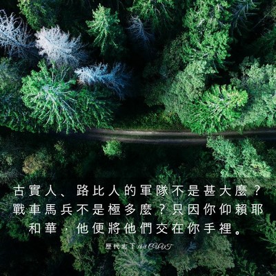 Picture 03 - 歷 代 志 下 16:8 CUVT - 古 實 人 、 路 比 人 的 軍 隊 不 是 - Bible Verse Picture