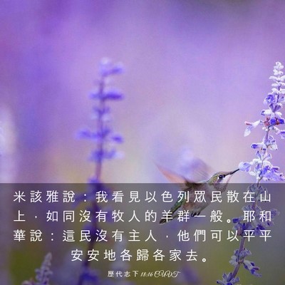 Picture 03 - 歷 代 志 下 18:16 CUVT - 米 該 雅 說 ： 我 看 見 以 色 列 眾 - Bible Verse Picture