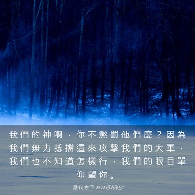 Picture 03 - 歷 代 志 下 20:12 CUVT - 我 們 的 神 啊 ， 你 不 懲 罰 他 們 - Bible Verse Picture