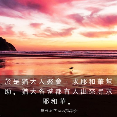 Picture 03 - 歷 代 志 下 20:4 CUVT - 於 是 猶 大 人 聚 會 ， 求 耶 和 華 - Bible Verse Picture