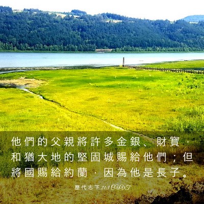 Picture 03 - 歷 代 志 下 21:3 CUVT - 他 們 的 父 親 將 許 多 金 銀 、 財 - Bible Verse Picture