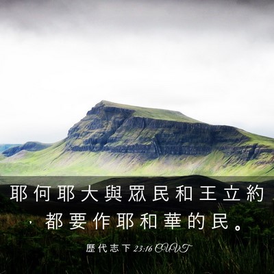 Picture 03 - 歷 代 志 下 23:16 CUVT - 耶 何 耶 大 與 眾 民 和 王 立 約 ， - Bible Verse Picture
