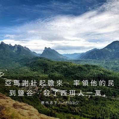 Picture 03 - 歷 代 志 下 25:11 CUVT - 亞 瑪 謝 壯 起 膽 來 ， 率 領 他 的 - Bible Verse Picture