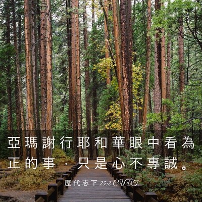 Picture 03 - 歷 代 志 下 25:2 CUVT - 亞 瑪 謝 行 耶 和 華 眼 中 看 為 正 - Bible Verse Picture