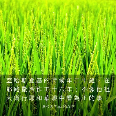 Picture 03 - 歷 代 志 下 28:1 CUVT - 亞 哈 斯 登 基 的 時 候 年 二 十 歲 - Bible Verse Picture