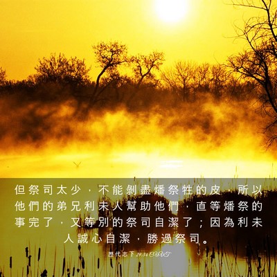 Picture 03 - 歷 代 志 下 29:34 CUVT - 但 祭 司 太 少 ， 不 能 剝 盡 燔 祭 - Bible Verse Picture