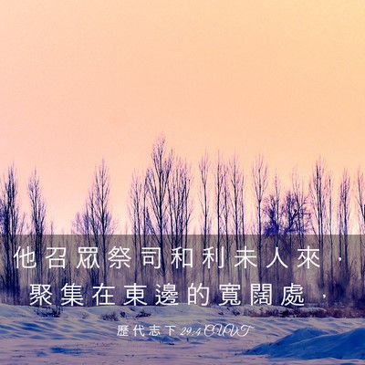 Picture 03 - 歷 代 志 下 29:4 CUVT - 他 召 眾 祭 司 和 利 未 人 來 ， 聚 - Bible Verse Picture