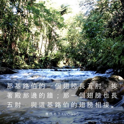Picture 03 - 歷 代 志 下 3:12 CUVT - 那 基 路 伯 的 一 個 翅 膀 長 五 肘 - Bible Verse Picture